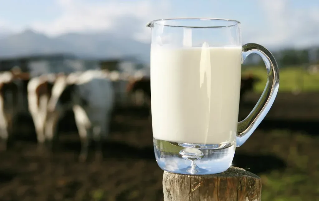 manfaat susu murni dan kandungannya