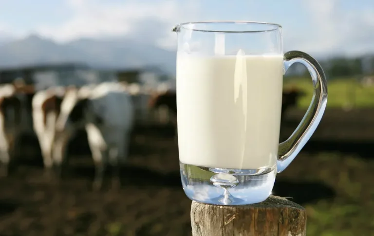 manfaat susu murni dan kandungannya
