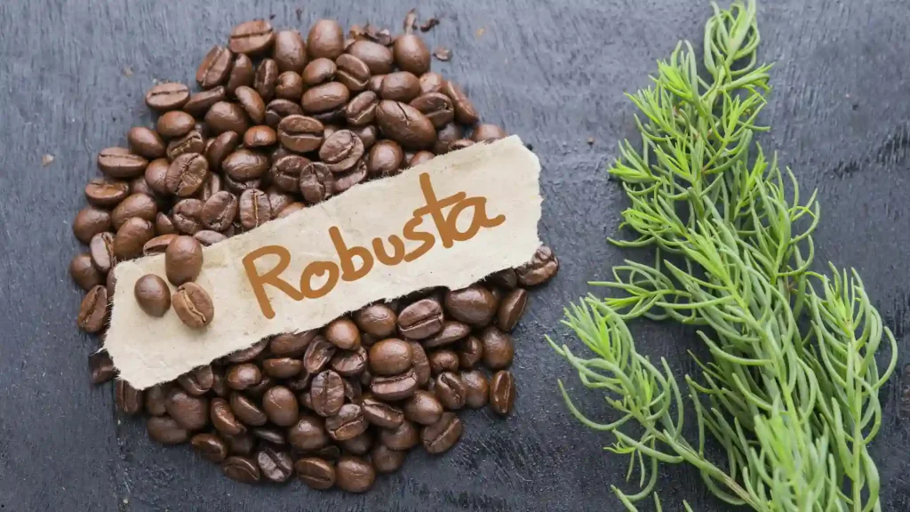 ciri cici robusta yang unik
