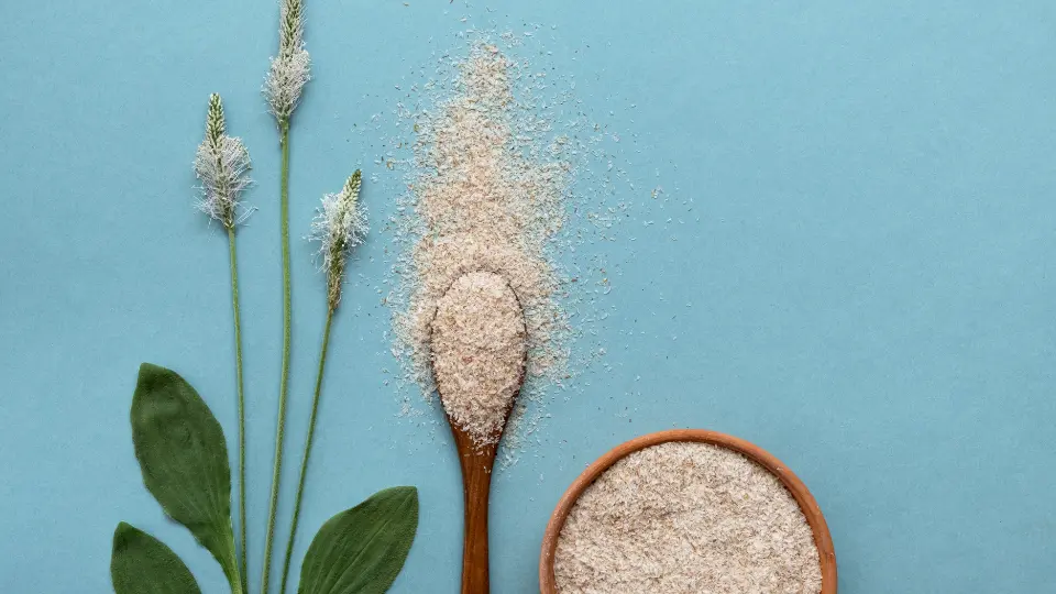 Manfaat Psyllium Husk yang baik