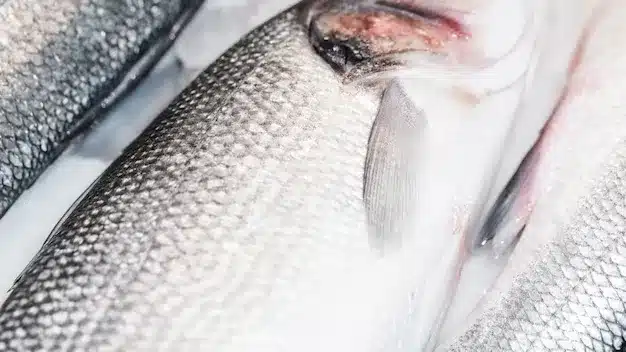Kolagen Ikan Premium