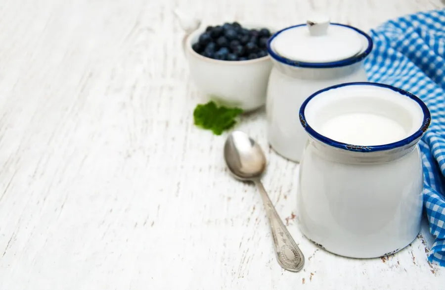 Distributor bahan baku yogurt