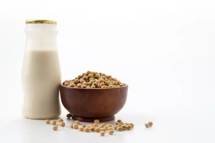 supplier isolate soy protein
