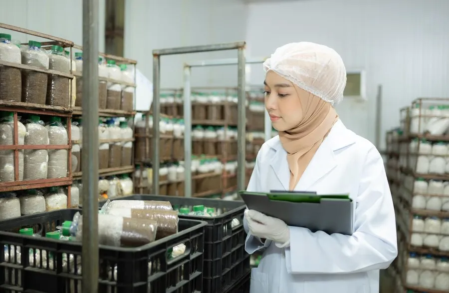 Distributor Bahan Makanan