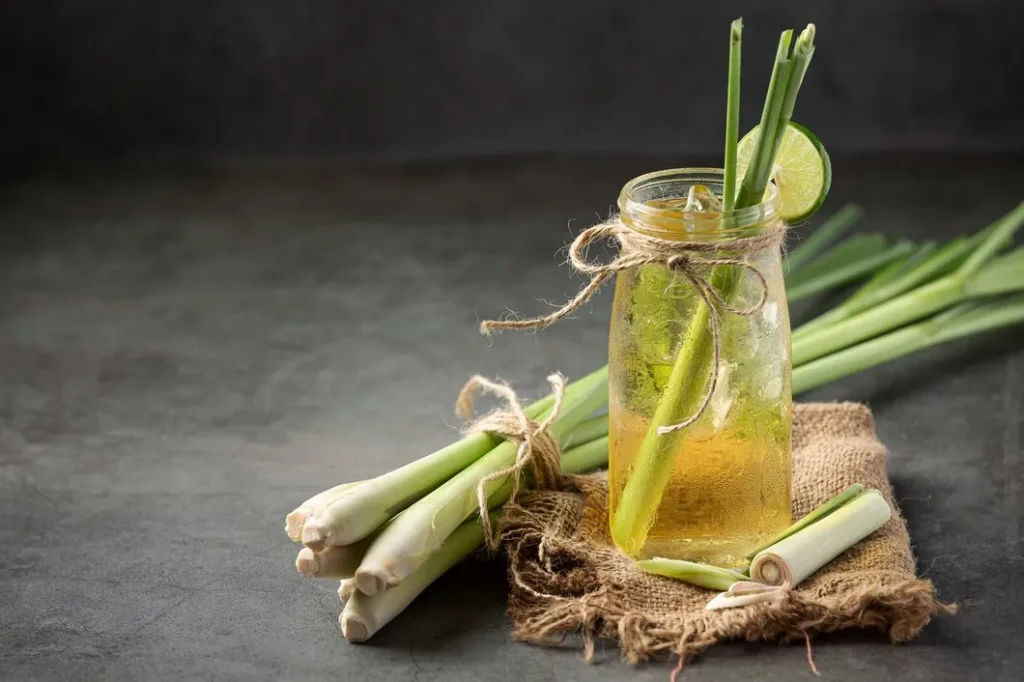 Ekstrak Sereh Untuk Minuman Herbal