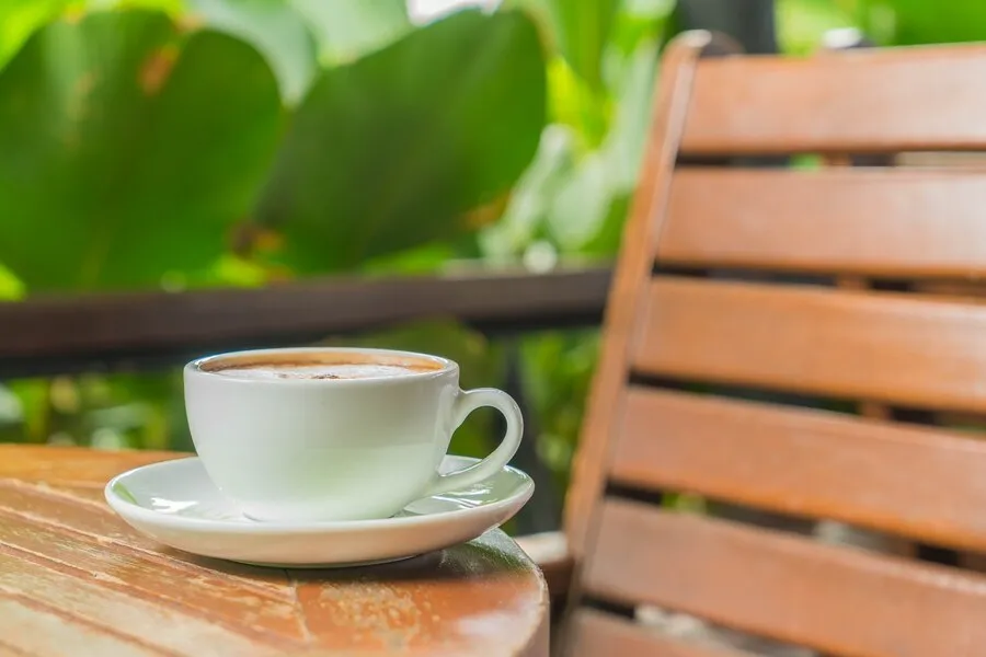 ekstrak green coffee